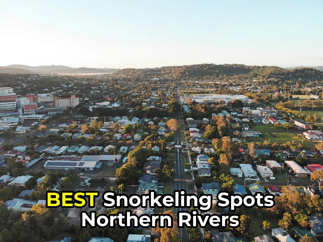 Ever Wondered Where the Best Snorkelling Spots in Northern Rivers Are Hiding? 🐠