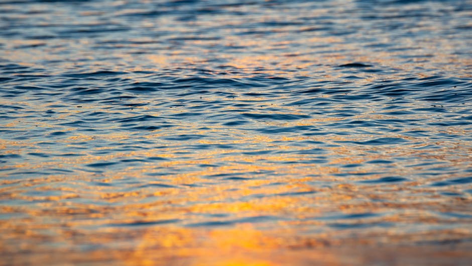 Kayaking Spring Guide for South East Queensland