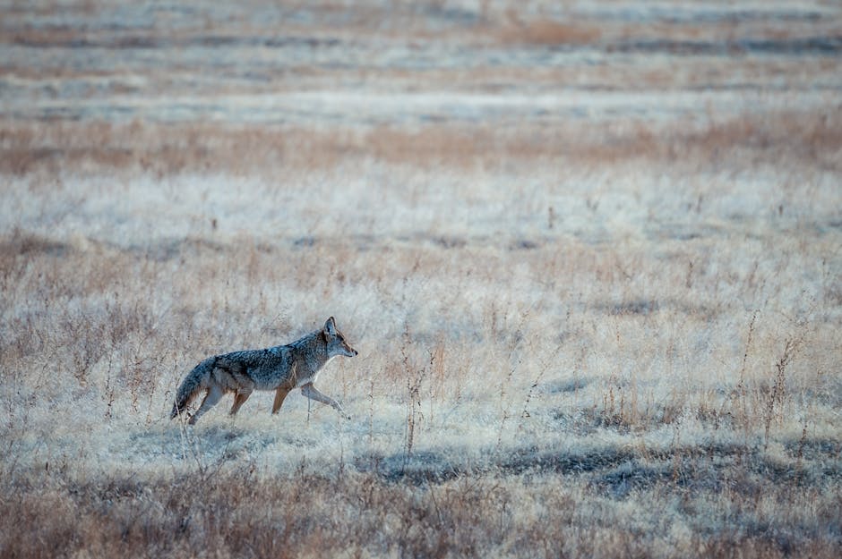 Autumn is THE Time for Wildlife Watching in Hunter Valley! 🦘