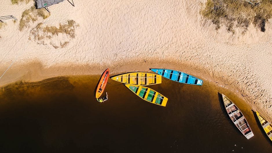 Australia’s Best Whale Watching | Comprehensive 2026 Guide