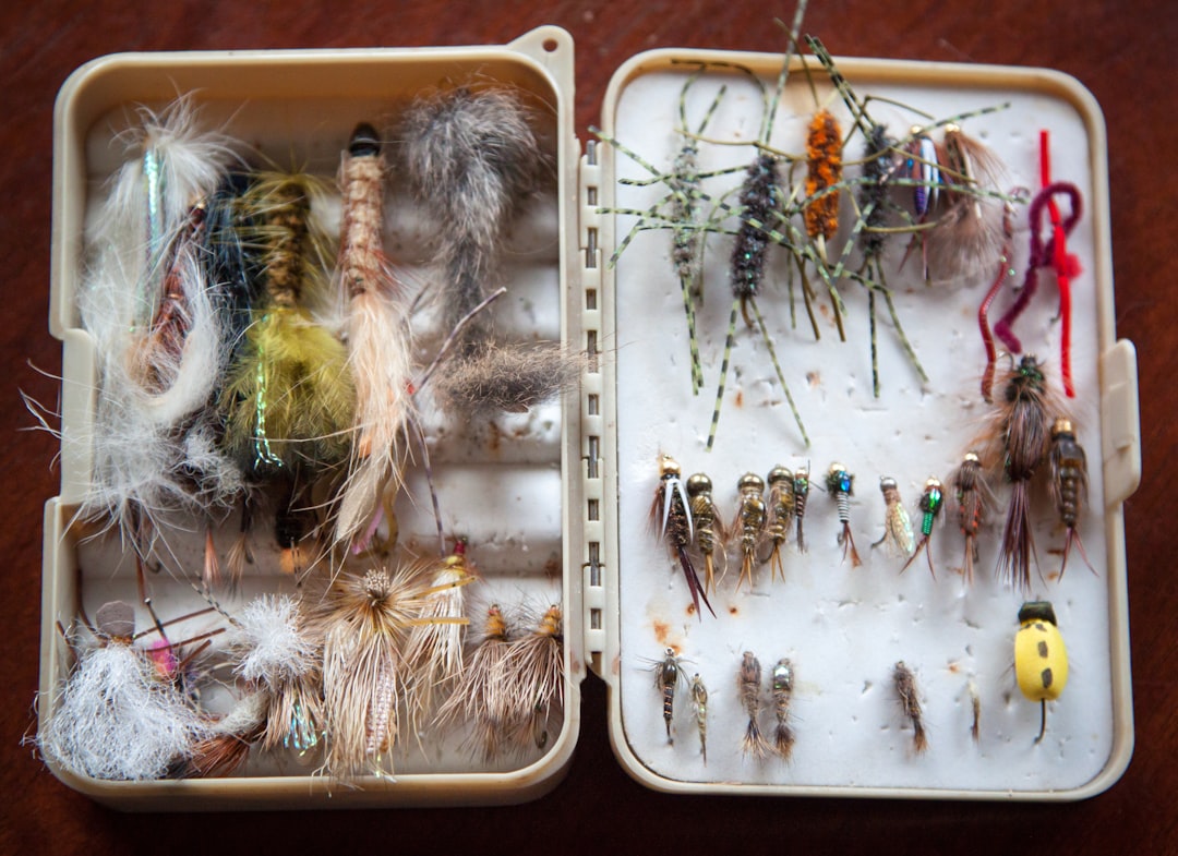 What If I Told You These 10 Byron Bay Fishing Essentials Will Save Your Trip? 🎣