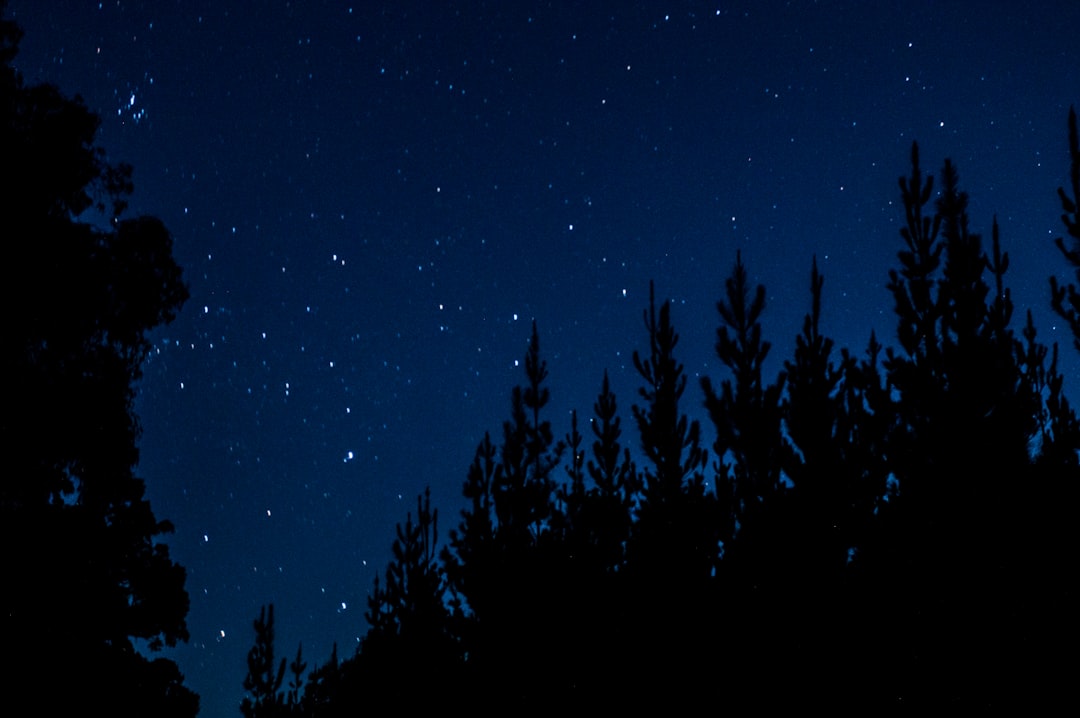 How to Plan Stargazing in Australia | Step-by-Step