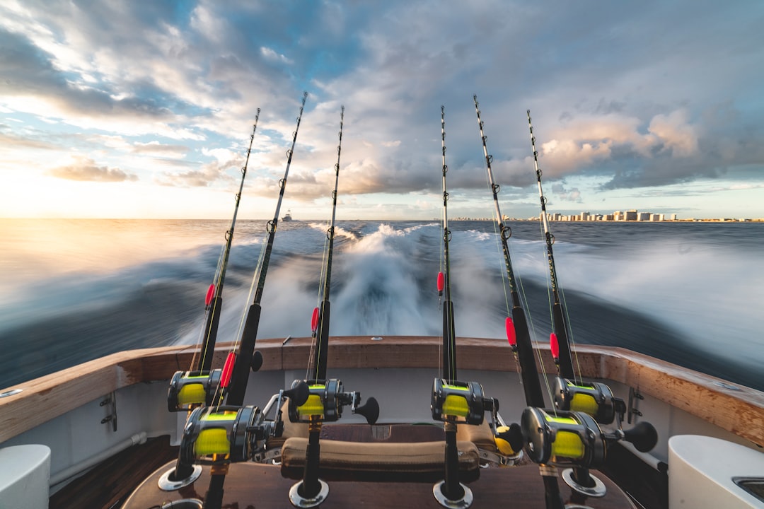 What If I Told You These 10 Byron Bay Fishing Essentials Will Save Your Trip? 🎣