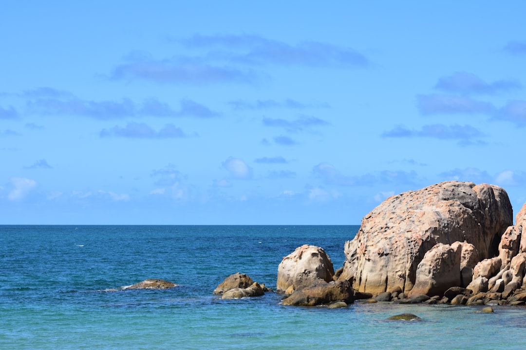 Queensland Coast Paddleboarding: Complete Area Guide