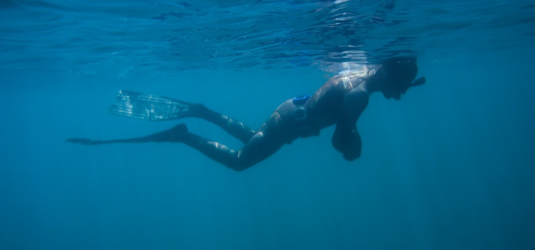 Snorkeling in Australia: A Complete Beginner to Expert Guide