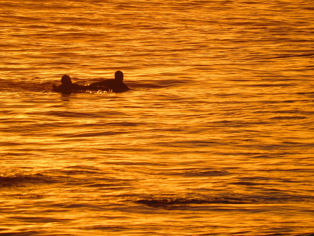 Guide to Kayaking Near Gold Coast | Best Spots & Tips