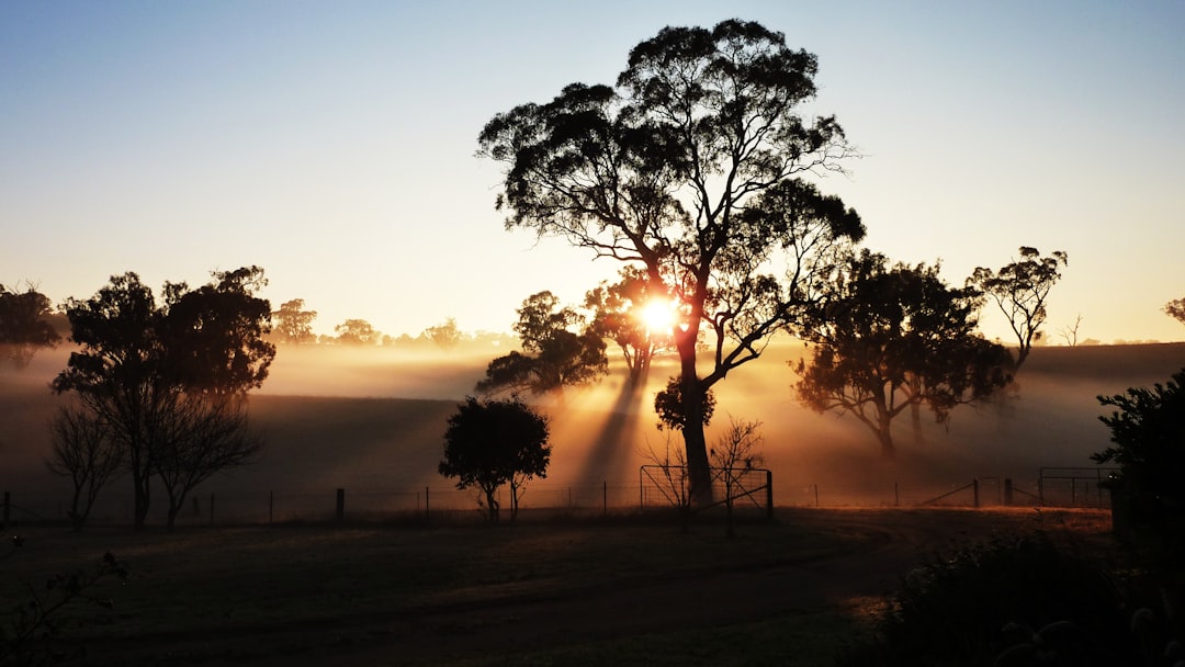 4WD Adventures in Australia: A Complete Beginner to Expert Guide