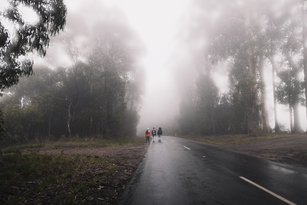Mountain Biking in Australia: A Complete Beginner to Expert Guide