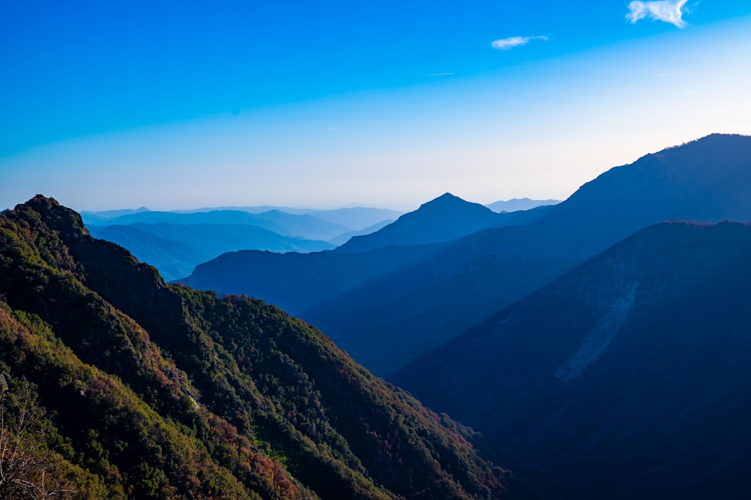 Heads Up – New Blue Mountains Access Rules Coming Into Effect for 2026! 🏔️