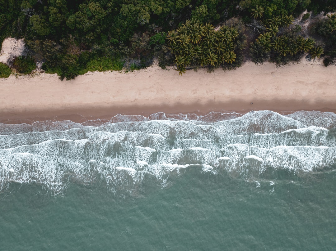 Wildlife Watching Summer Guide for Far North Queensland