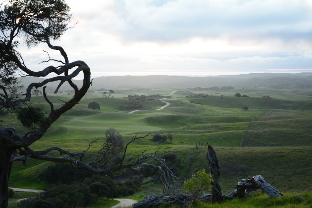 Mountain Biking in Australia: A Complete Beginner to Expert Guide
