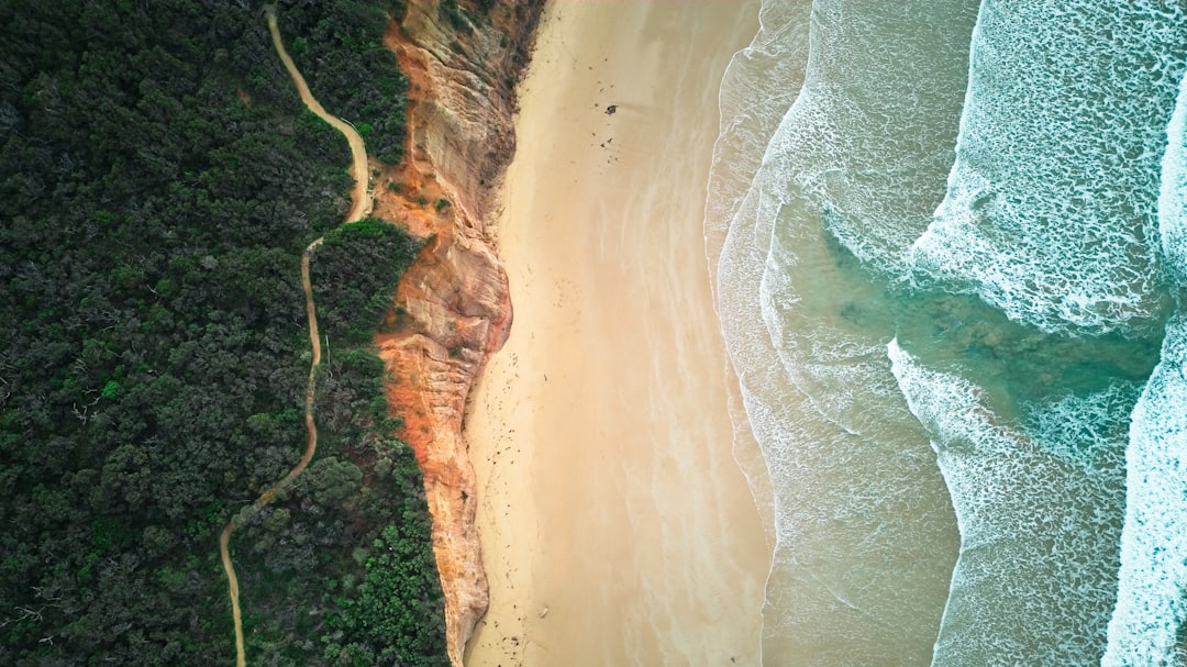 Mark Your Calendars – Great Ocean Road Festival Is Coming! 🎉