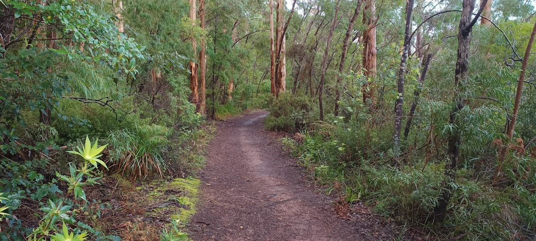 Trail Running Australia: The Definitive Resource