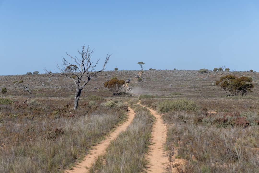 Trail Running Australia: The Definitive Resource