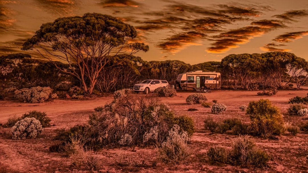 Camping in QLD: Destinations, Tips & Planning
