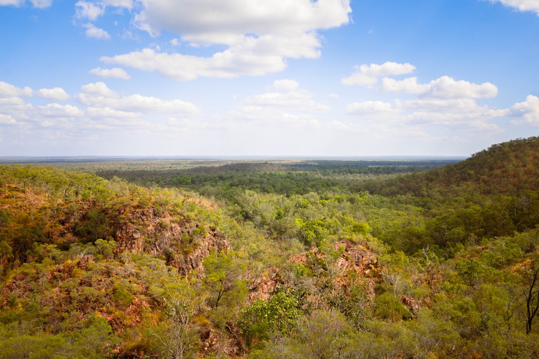 How to Plan Nature Walk in Red Centre | Step-by-Step