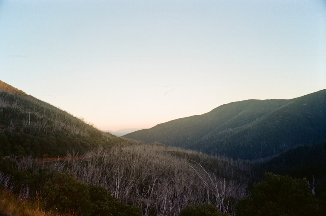 Mountain Biking in VIC: Destinations, Tips & Planning