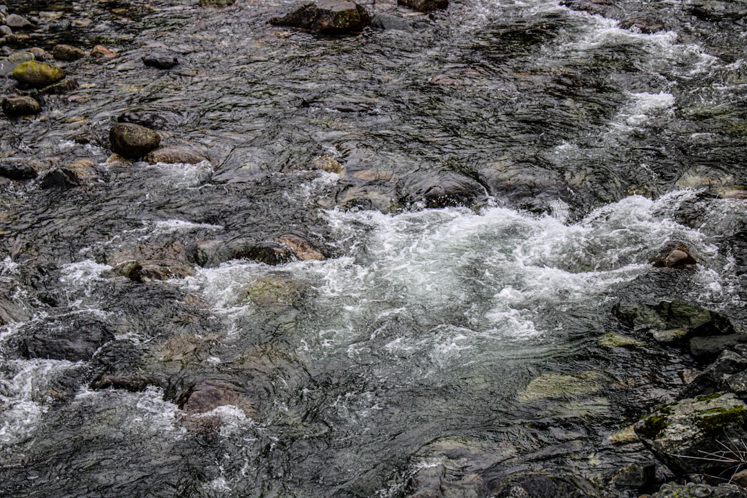 Best Time for White Water Rafting in Northern Rivers | Monthly Breakdown