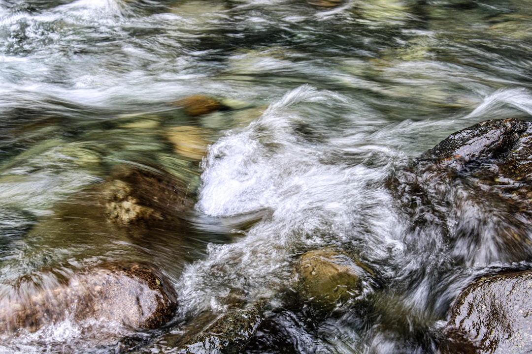 Best Time for White Water Rafting in Northern Rivers | Monthly Breakdown
