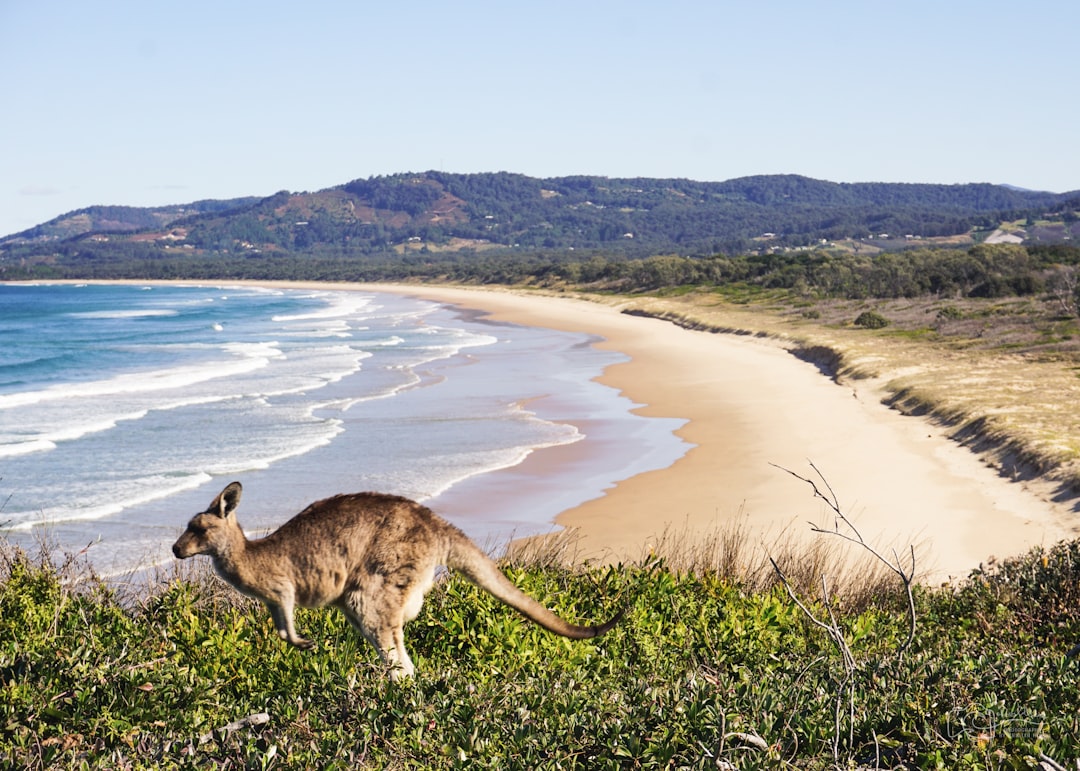 Photography in Australia: A Complete Beginner to Expert Guide
