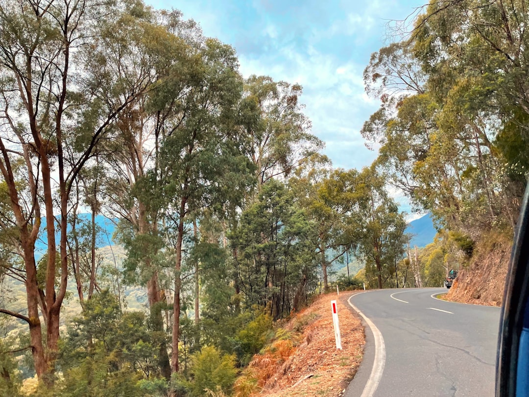 Mountain Biking in VIC: Destinations, Tips & Planning