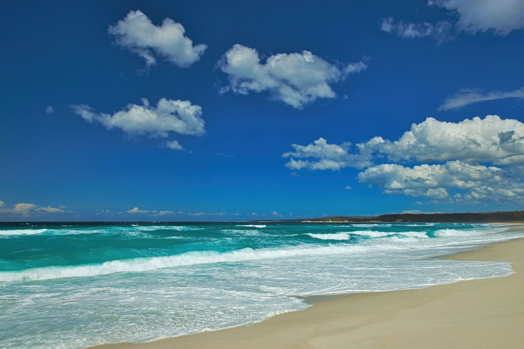 The Ultimate Australian Beach Fishing Guide | Tips, Locations & More