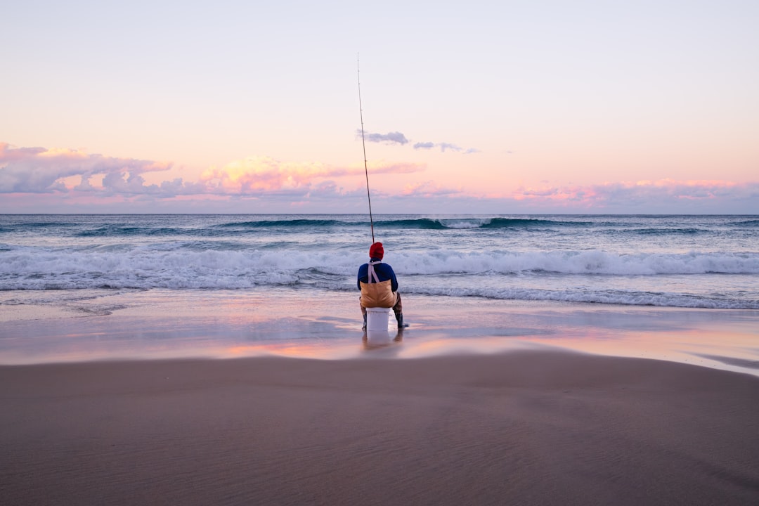 Queensland Coast Paddleboarding: Complete Area Guide