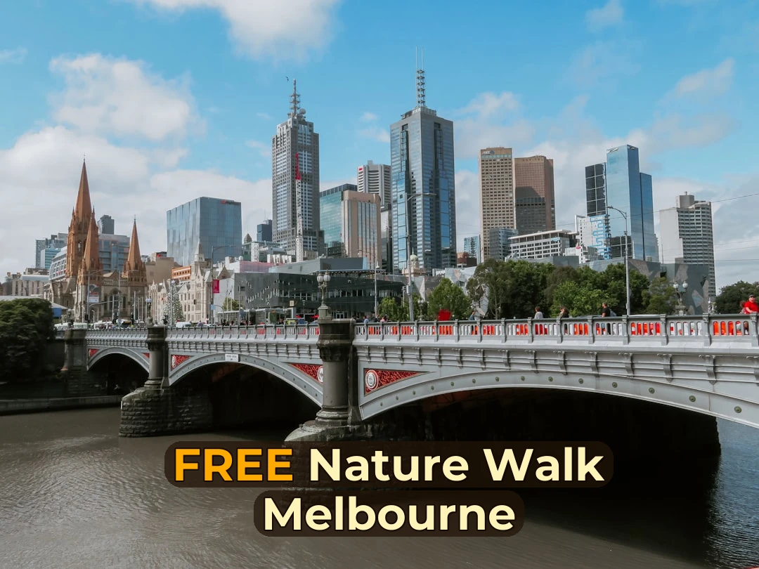 Ever Wondered Where Melbourne’s Best FREE Nature Walks Are Hiding? 🌿