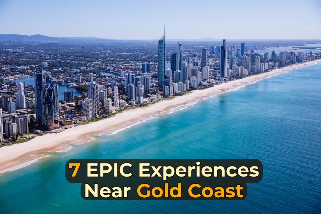 Ever Wondered What’s Worth Your Time Near the Gold Coast? Here Are My Top 7 Picks – Ranked! 🌊
