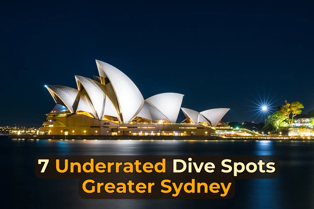 7 Underrated Scuba Diving Spots in Sydney | Here’s Exactly Where to Dive! 🤿