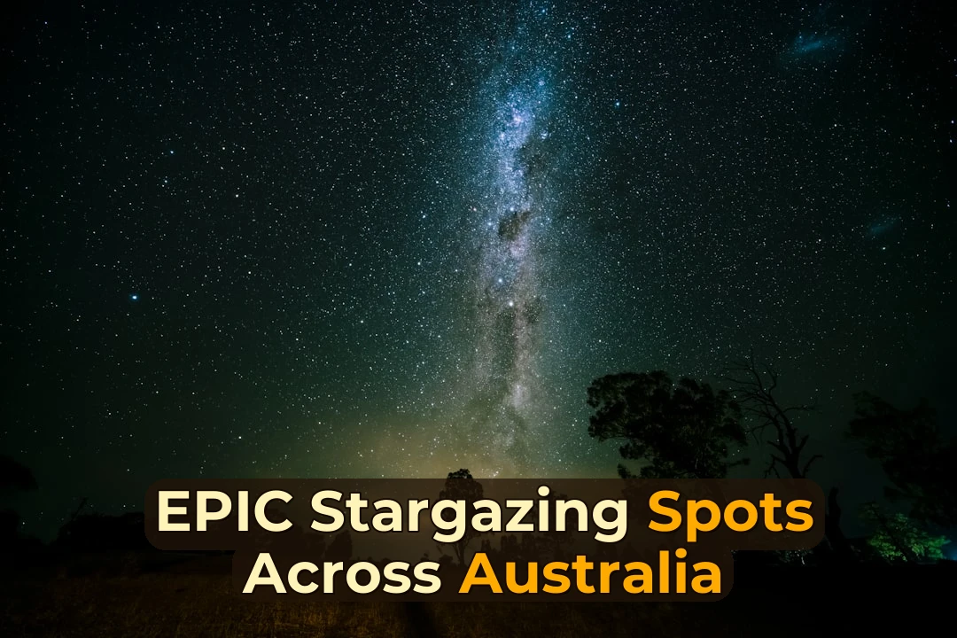 Facilities for Stargazing in Australia | Complete Guide