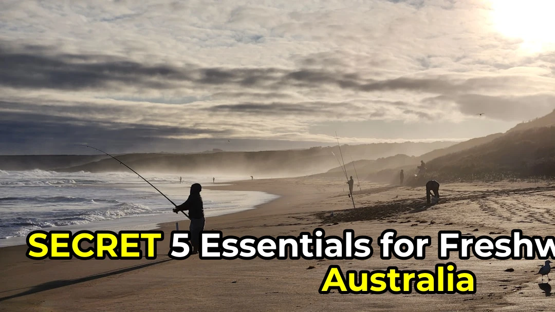 Don’t forget these freshwater fishing essentials! 🎣 (Did you know 87% of Aussie anglers skip the basics?)