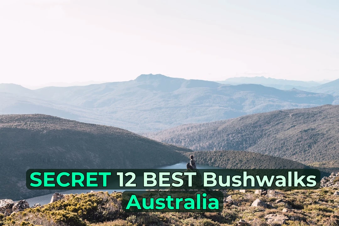 First time bushwalking in Australia? Don’t stress – I’ve got you covered! 🥾