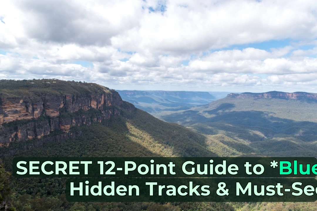 Planning 4WD Adventures at Blue Mountains? Read This First! 🚙💨