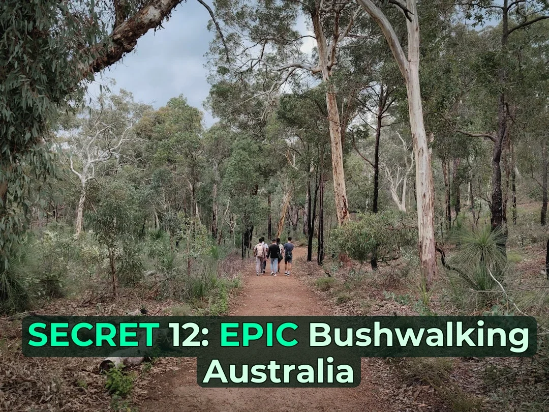 Ever wondered what it’s like to bushwalk through Australia’s wild heart? | First-timer’s Complete Guide – I’ve got you covered!