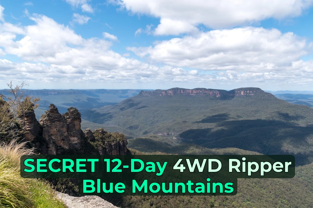 Planning 4WD Adventures at Blue Mountains? Read This First! 🚙💨