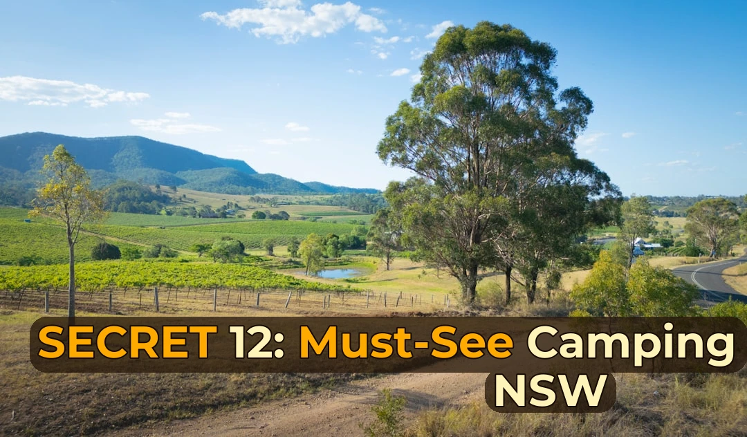 Camping in NSW: Destinations, Tips & Planning