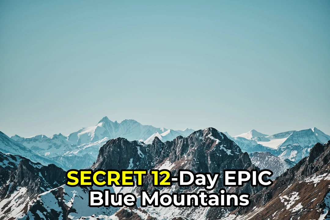 Ever wondered what it’s like to abseil down a Blue Mountains cliff after the festival? Mark your calendars – the Blue Mountains Reopens After Blue Mountains Festival is coming!
