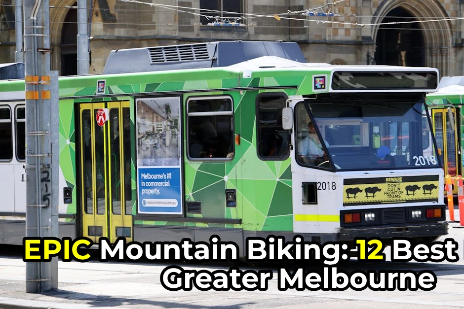 Best Time for Mountain Biking in Greater Melbourne | Monthly Breakdown