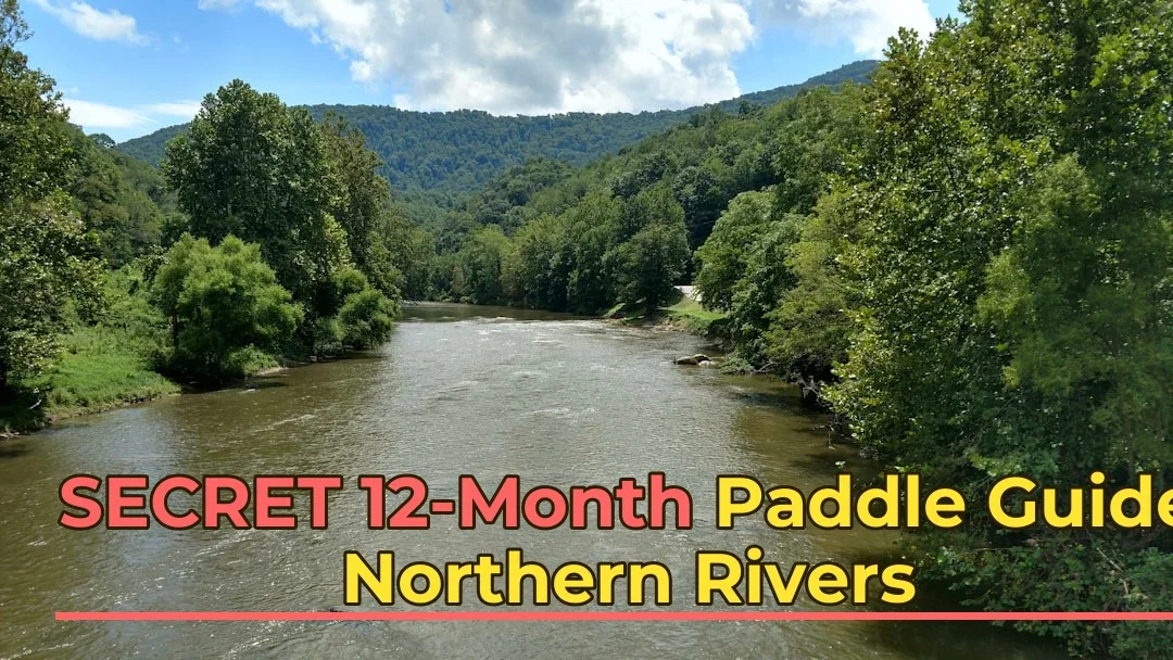 Best Time for Stand Up Paddleboarding in Northern Rivers | Monthly Breakdown