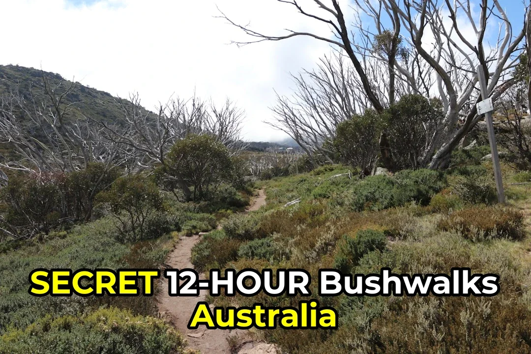 Bushwalking Australia: The Definitive Resource