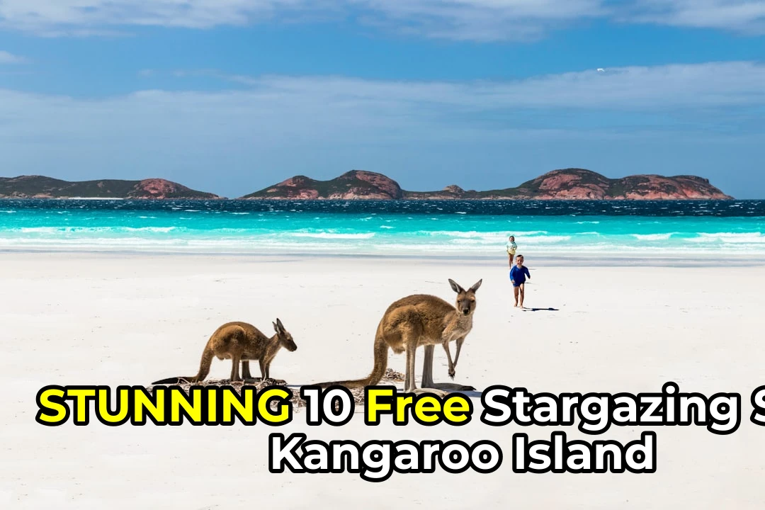 10 Free Stargazing Spots on Kangaroo Island 🌌 What to Do and What to Skip!
