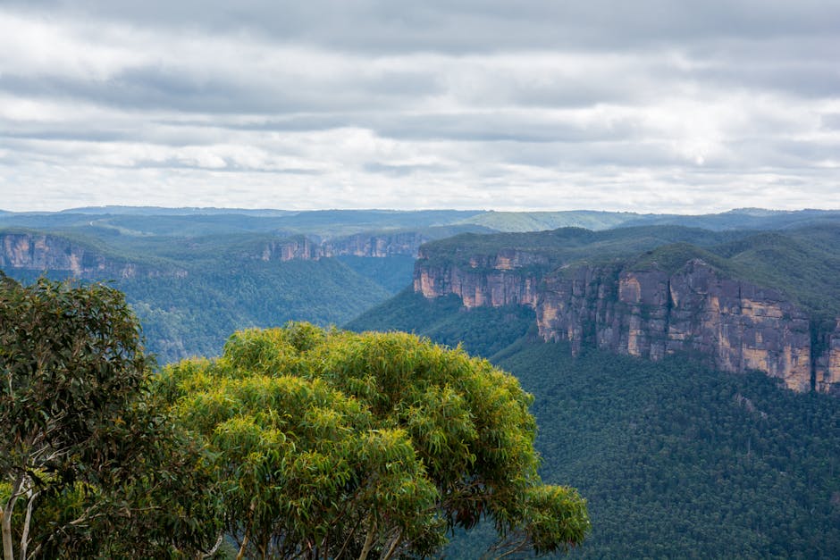 Blue Mountains on a Budget? Ripper Guide for First-Timers! 🏕️