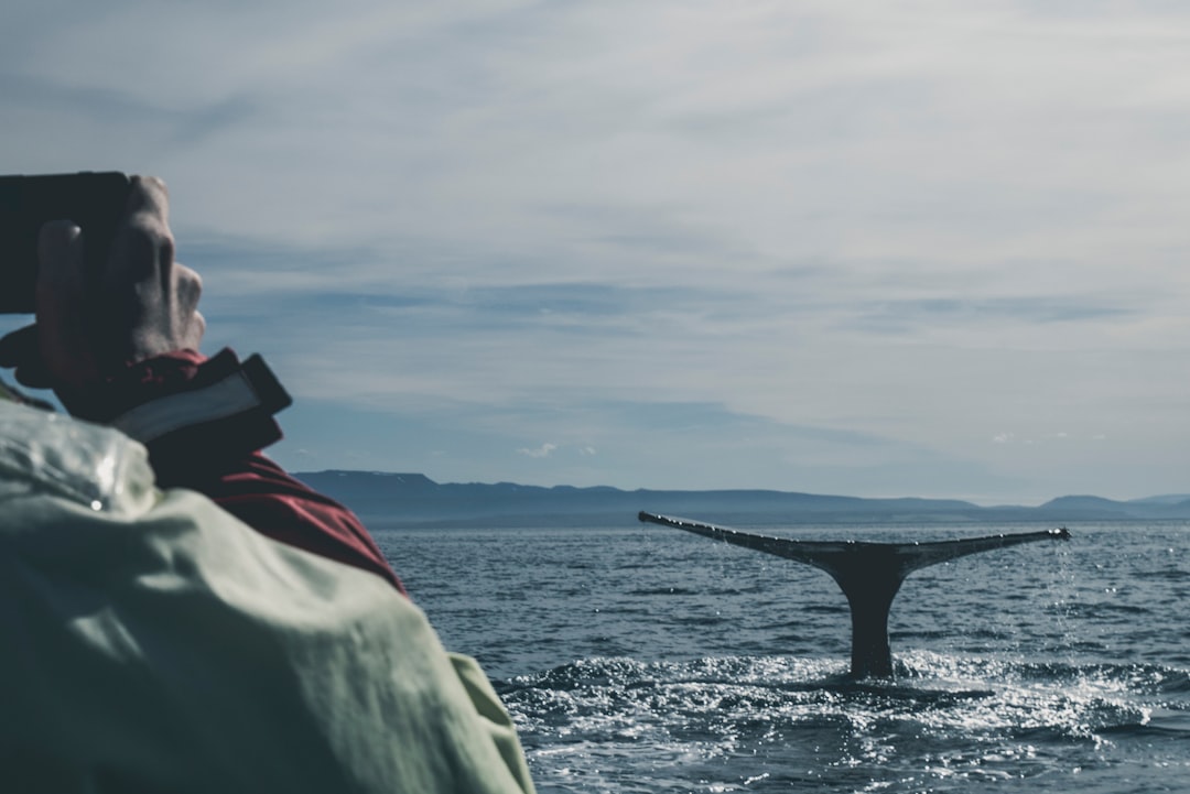 Ever wondered what it’s like to see a humpback whale breach right in front of you? 🐋 Here are my favourite whale watching spots in Byron Bay!