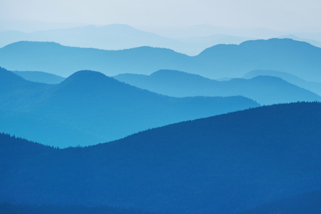 Ever wondered what it’s like to abseil down a Blue Mountains cliff after the festival? Mark your calendars – the Blue Mountains Reopens After Blue Mountains Festival is coming!