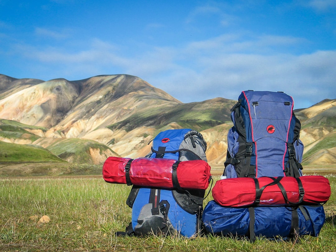 Backpack vs Alternative – which one wins? 🎒 vs 🎒? 🏆