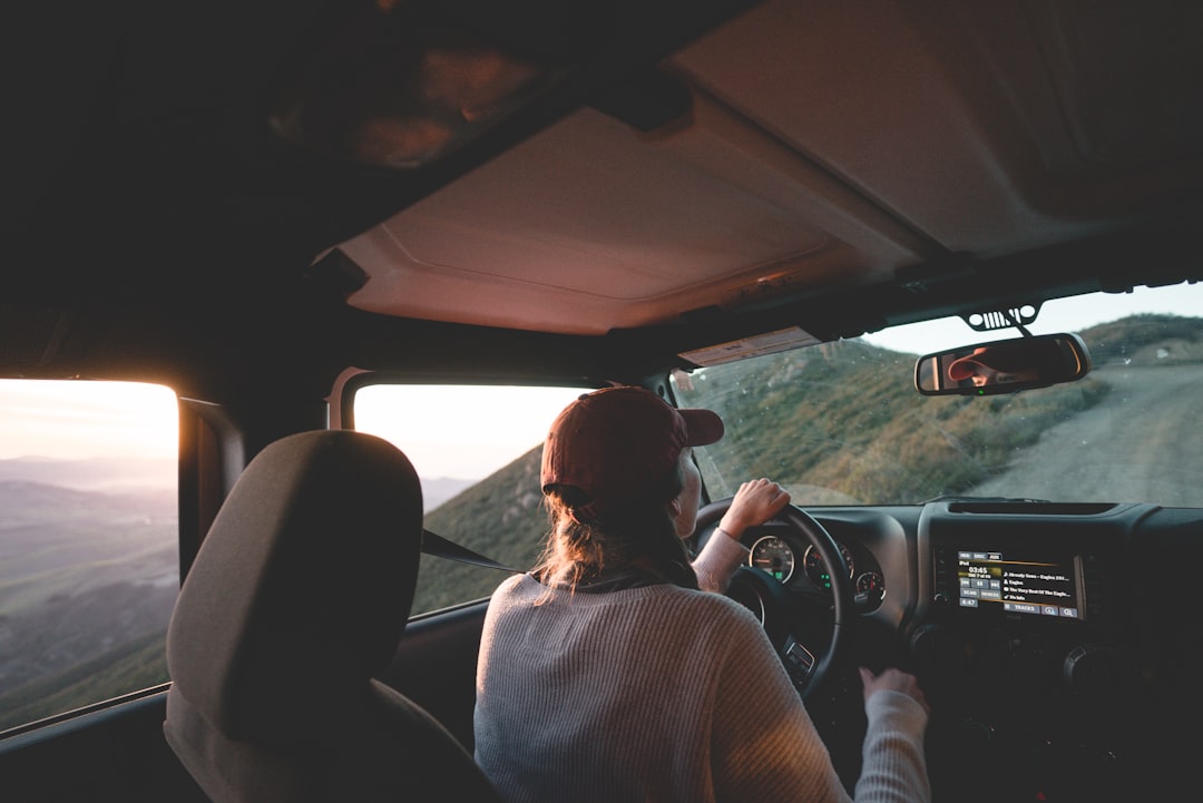 Don’t forget these road trip essentials! 🚗💨