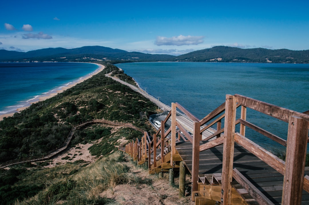Mark your calendars – The Hobart Festival is coming! 🌿🌊