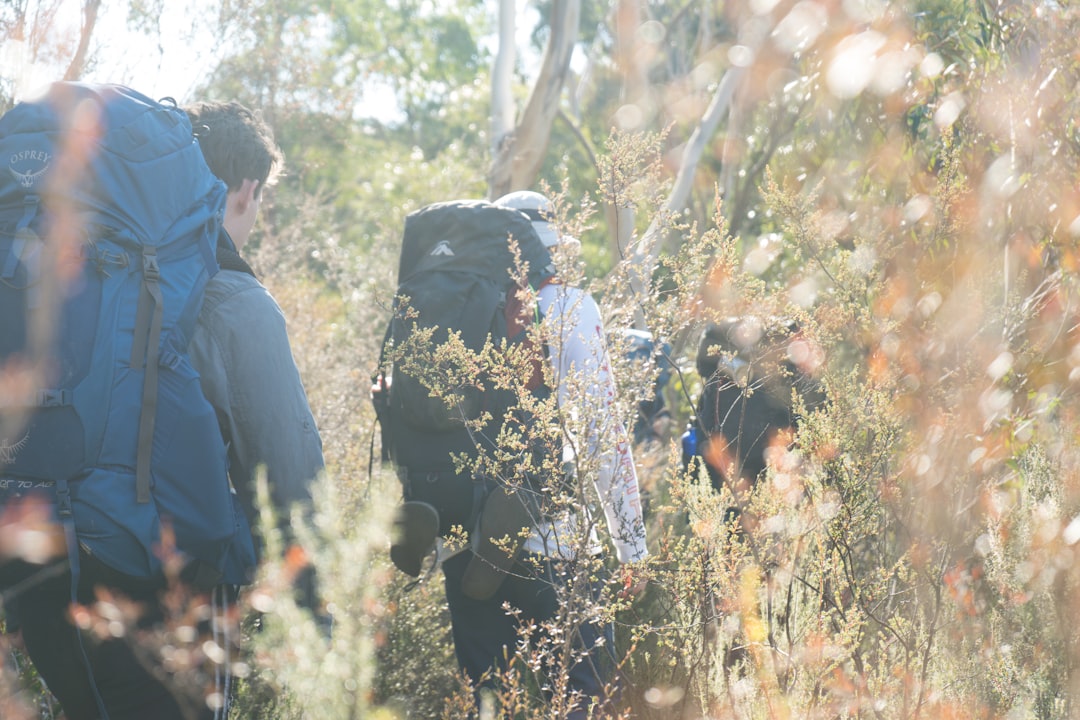 First time bushwalking in Australia? Don’t stress – I’ve got you covered! 🥾