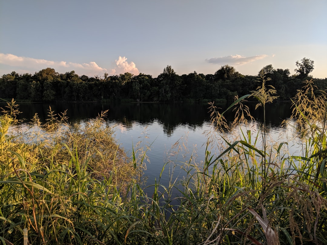 Best Time for Stand Up Paddleboarding in Northern Rivers | Monthly Breakdown